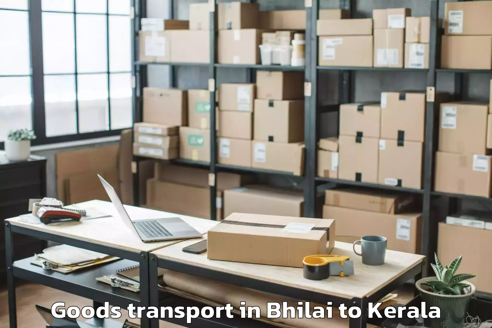 Easy Bhilai to Adoor Goods Transport Booking